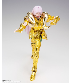 Saint Seiya - "Zeppin Series" - cadre des 35 Pin's
