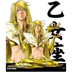 Saint Seiya - Anime Heroes - Gold - Saga Gémeaux