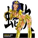 Saint Seiya - Anime Heroes - Shun Hadès