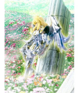 Gelenkfigur - Beschädigte Verpackung - Saint Seiya - Cygnus Hyoga