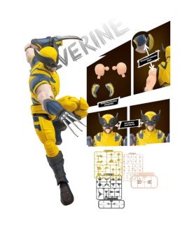 Model - Champion Class - Marvel - Wolverine