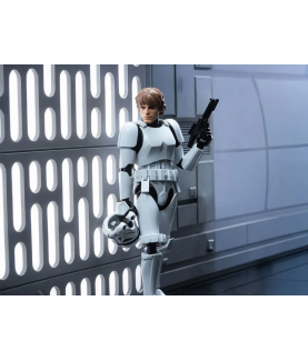 Maquette - Champion Class - Star Wars - Luke Skywalker