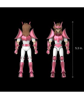 Model Kit - Champion Class - Saint Seiya - Andromeda Shun