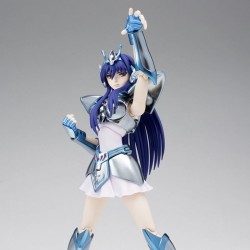 Gelenkfigur - Saint Seiya -...