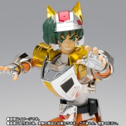 Figurine articulée - Myth Cloth - Saint Seiya - Daichi à l'Armure Terrestre